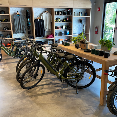 Pine Nut Cycle Shop & Ebike Rentals Bicycle rental service in South Lake Tahoe California