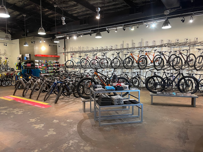 Trek Bicycle Woodland Hills Bicycle store in Woodland Hills California