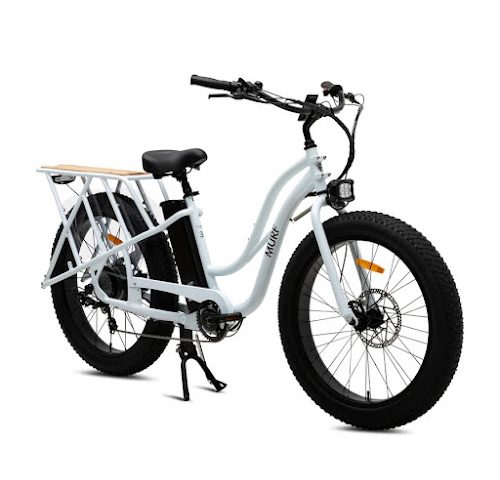 Ted's E-Bikes Electric bicycle store