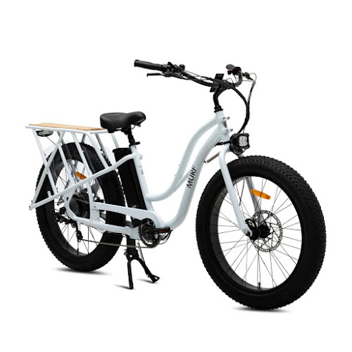 Ted's E-Bikes Electric bicycle store in