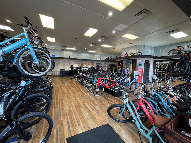 Trek Bicycle Tallahassee Bicycle store in Tallahassee Florida
