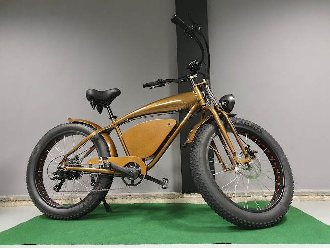 2wheels-shop Winkel voor elektrische fietsen in Bovenkarspel