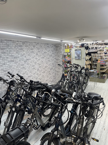 Borghstijn Fietsverhuur in Gouda