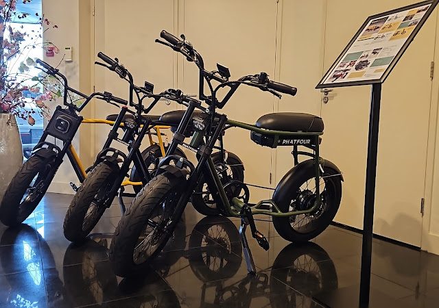 Das Bikes Winkel voor elektrische fietsen in Zaandam