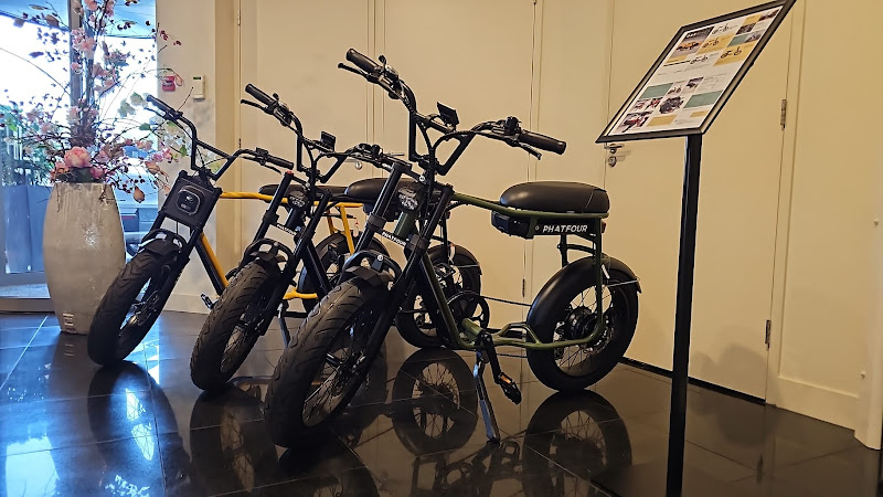 Das Bikes Winkel voor elektrische fietsen in Zaandam