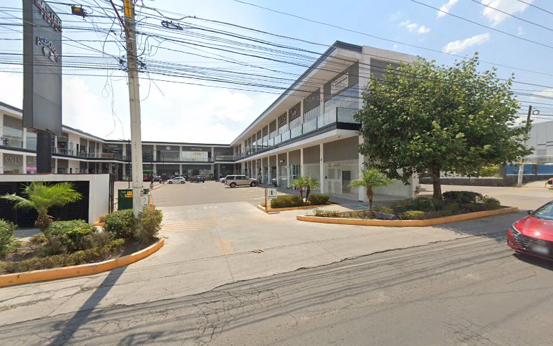 Evobike Queretaro Tienda de bicicletas eléctricas in Santiago de Querétaro Querétaro