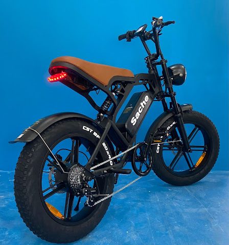 Sache Bikes Winkel voor elektrische fietsen in Den Hoorn